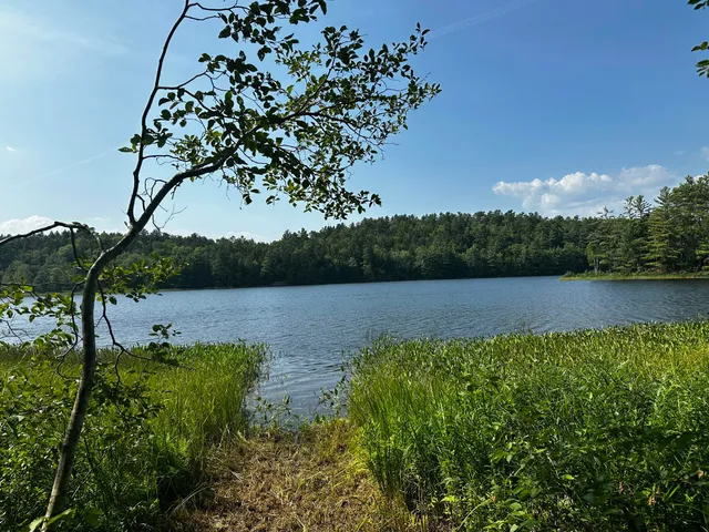 $144,000 | Lot 005 State Route 46 Route, Bucksport, ME 04416