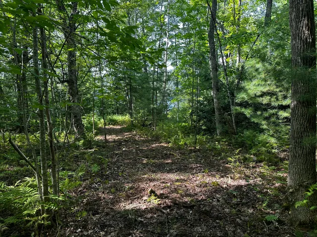 $144,000 | Lot 005 State Route 46 Route, Bucksport, ME 04416