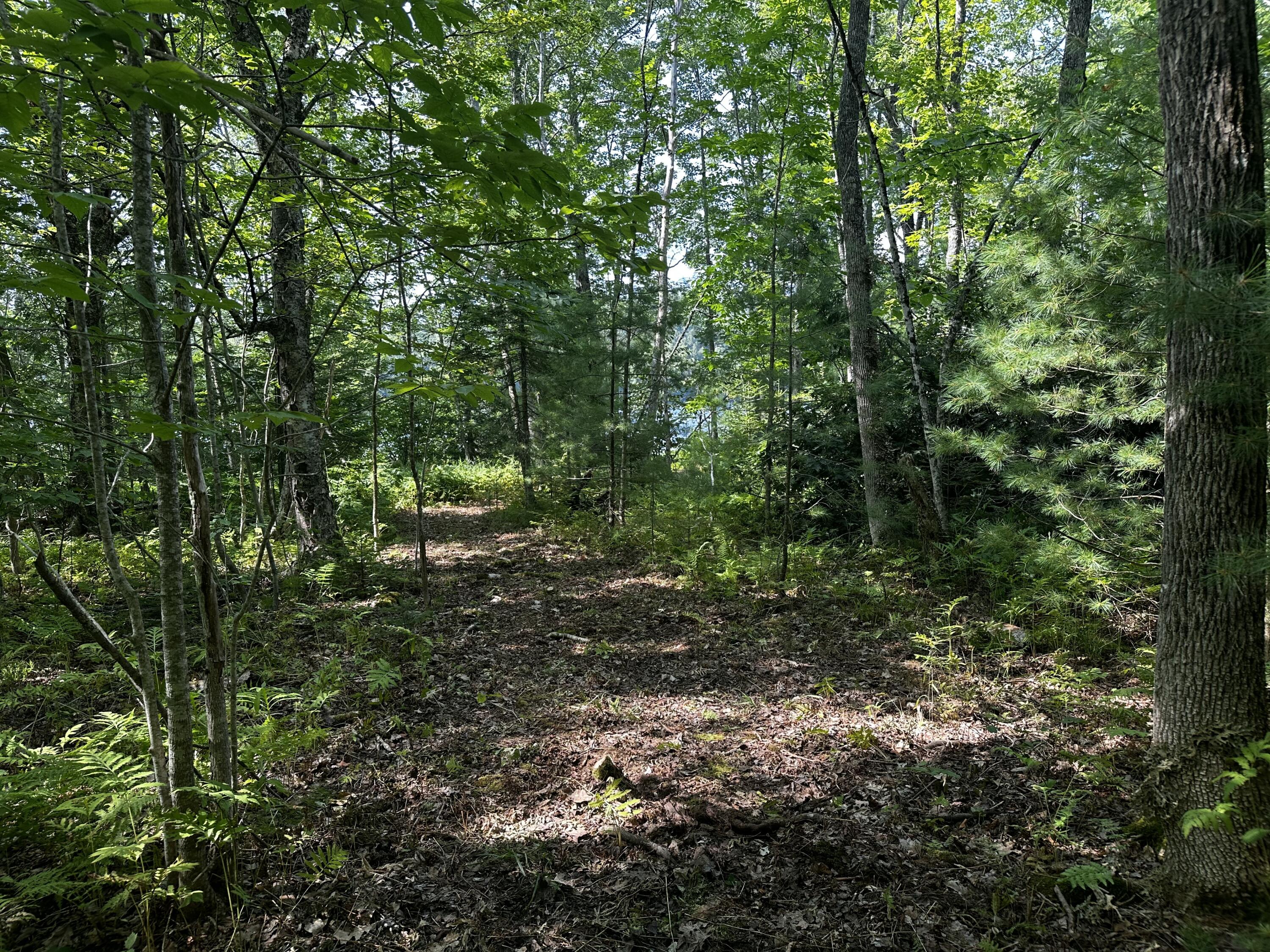 Lot 005 State Route 46 Route Bucksport, ME 04416 - Photo 11 of 21 IMG_7460