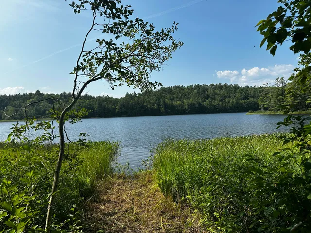 $144,000 | Lot 005 State Route 46 Route, Bucksport, ME 04416