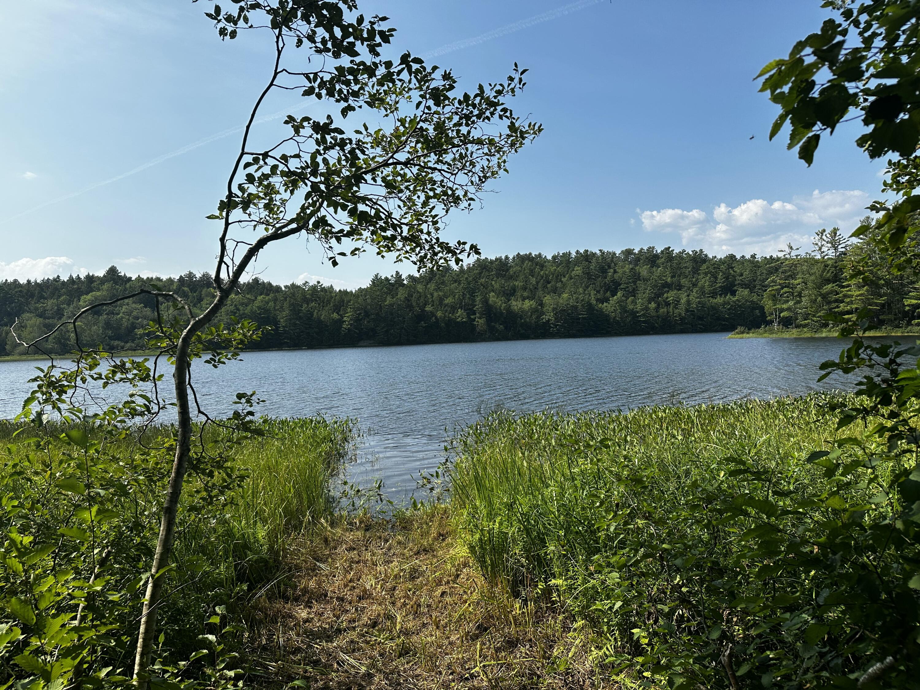 Lot 005 State Route 46 Route Bucksport, ME 04416 - Photo 12 of 21 IMG_7462