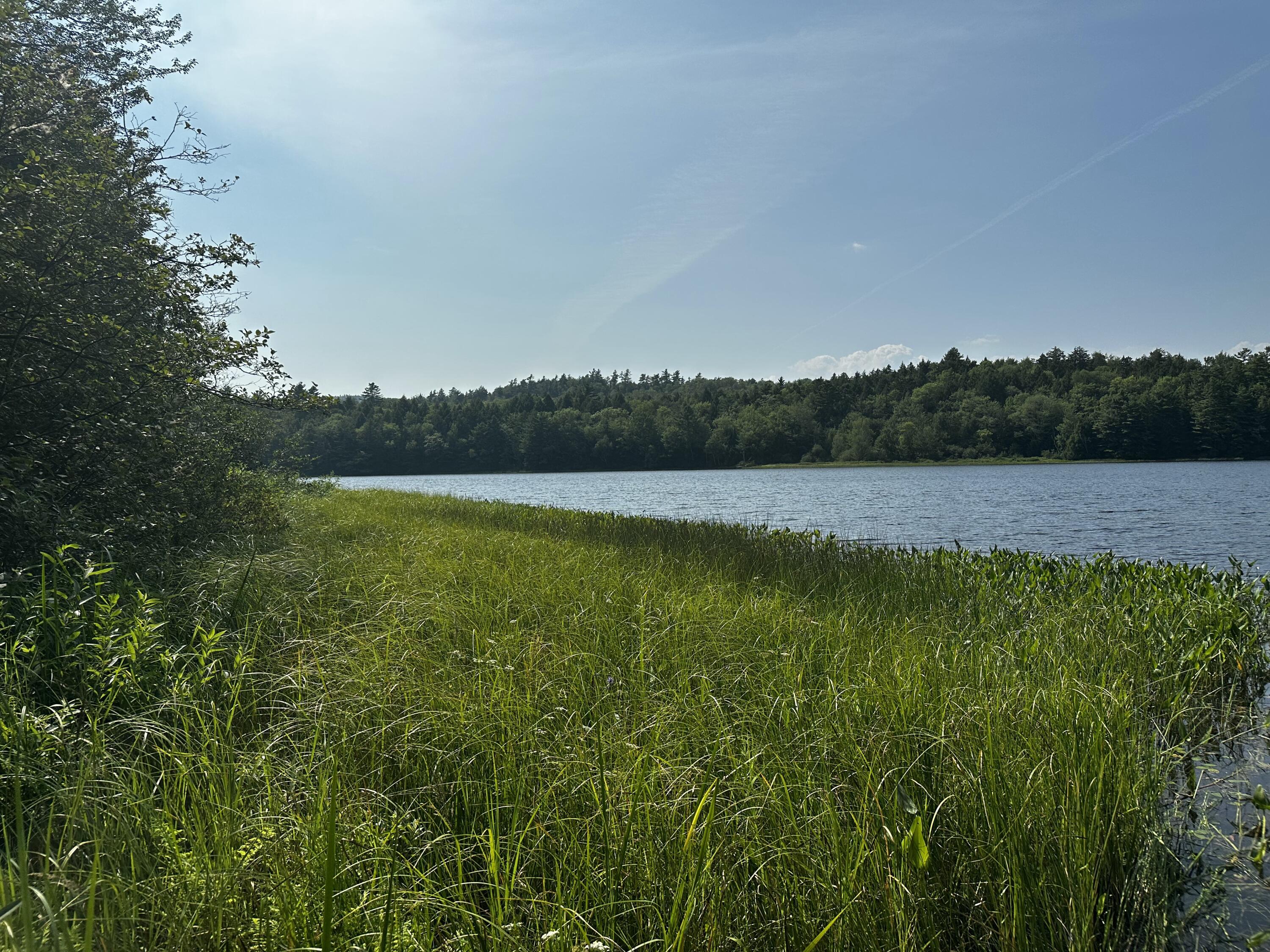 Lot 005 State Route 46 Route Bucksport, ME 04416 - Photo 14 of 21 IMG_7465