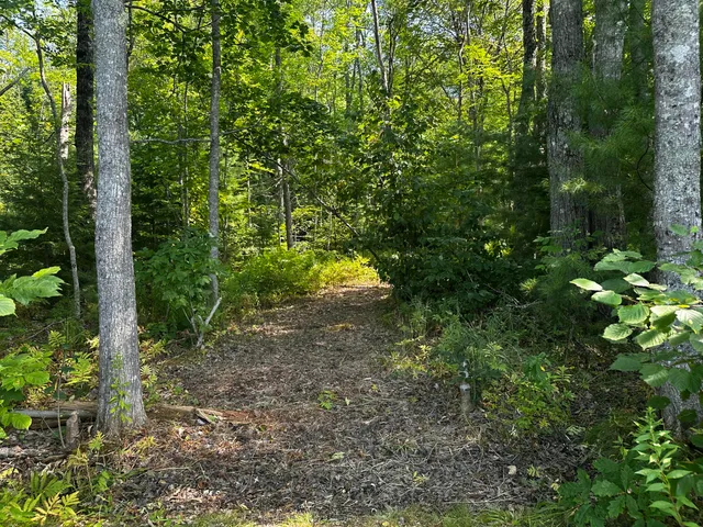 $144,000 | Lot 005 State Route 46 Route, Bucksport, ME 04416