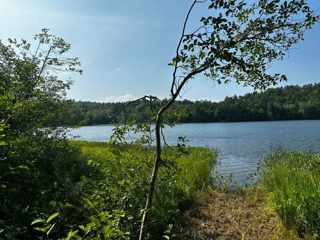 $144,000 | Lot 005 State Route 46 Route, Bucksport, ME 04416