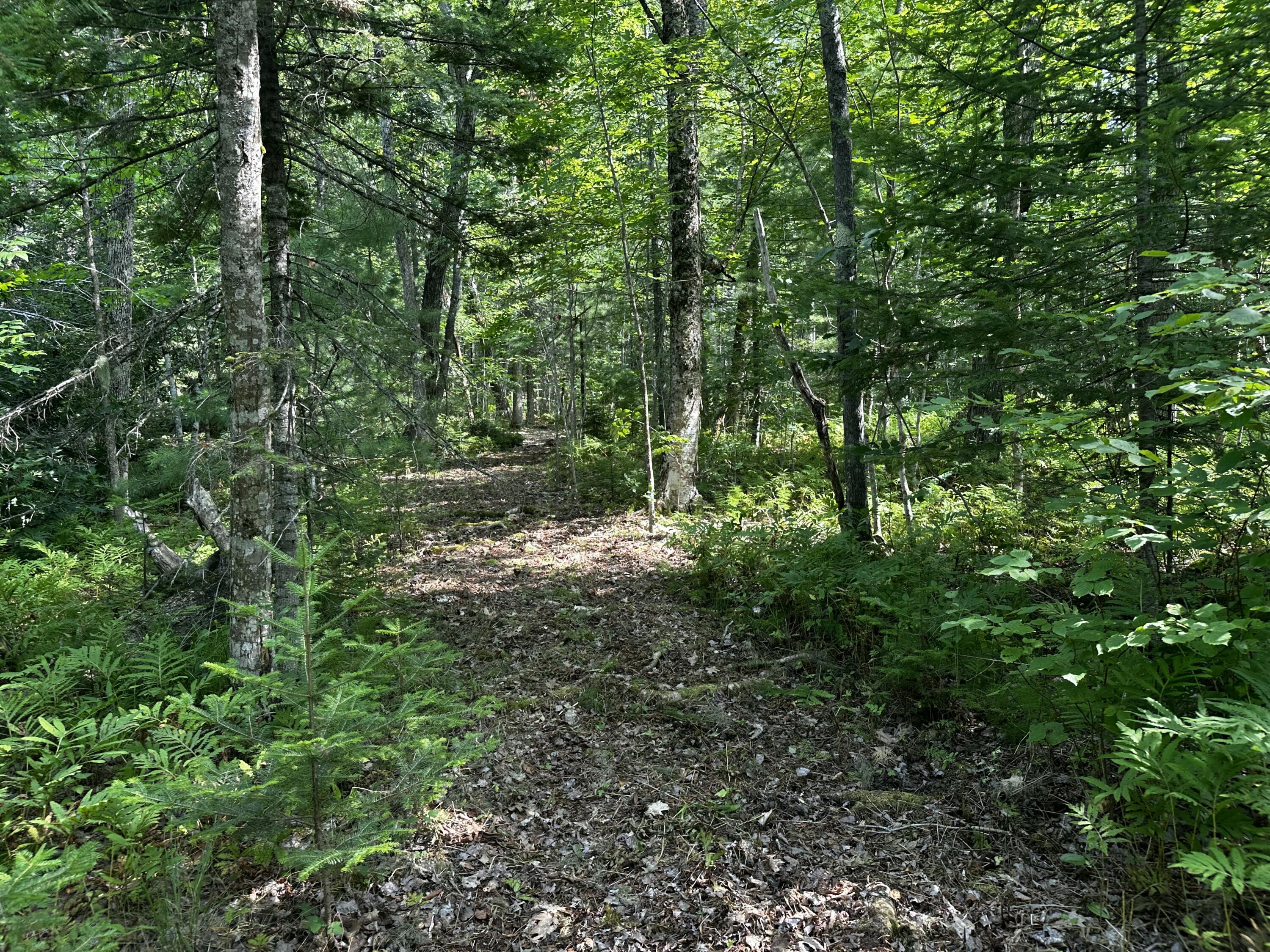 Lot 005 State Route 46 Route Bucksport, ME 04416 - Photo 19 of 21 IMG_7472