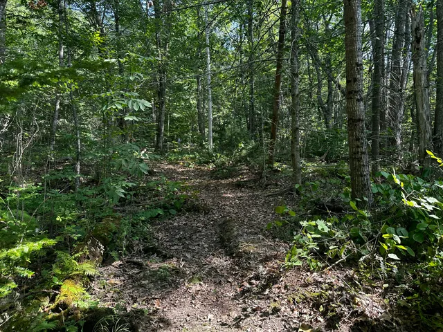 $144,000 | Lot 005 State Route 46 Route, Bucksport, ME 04416