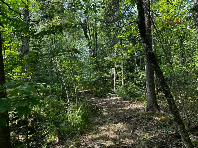$144,000 | Lot 005 State Route 46 Route, Bucksport, ME 04416