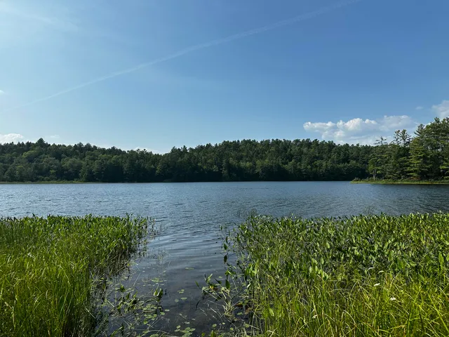 $144,000 | Lot 005 State Route 46 Route, Bucksport, ME 04416