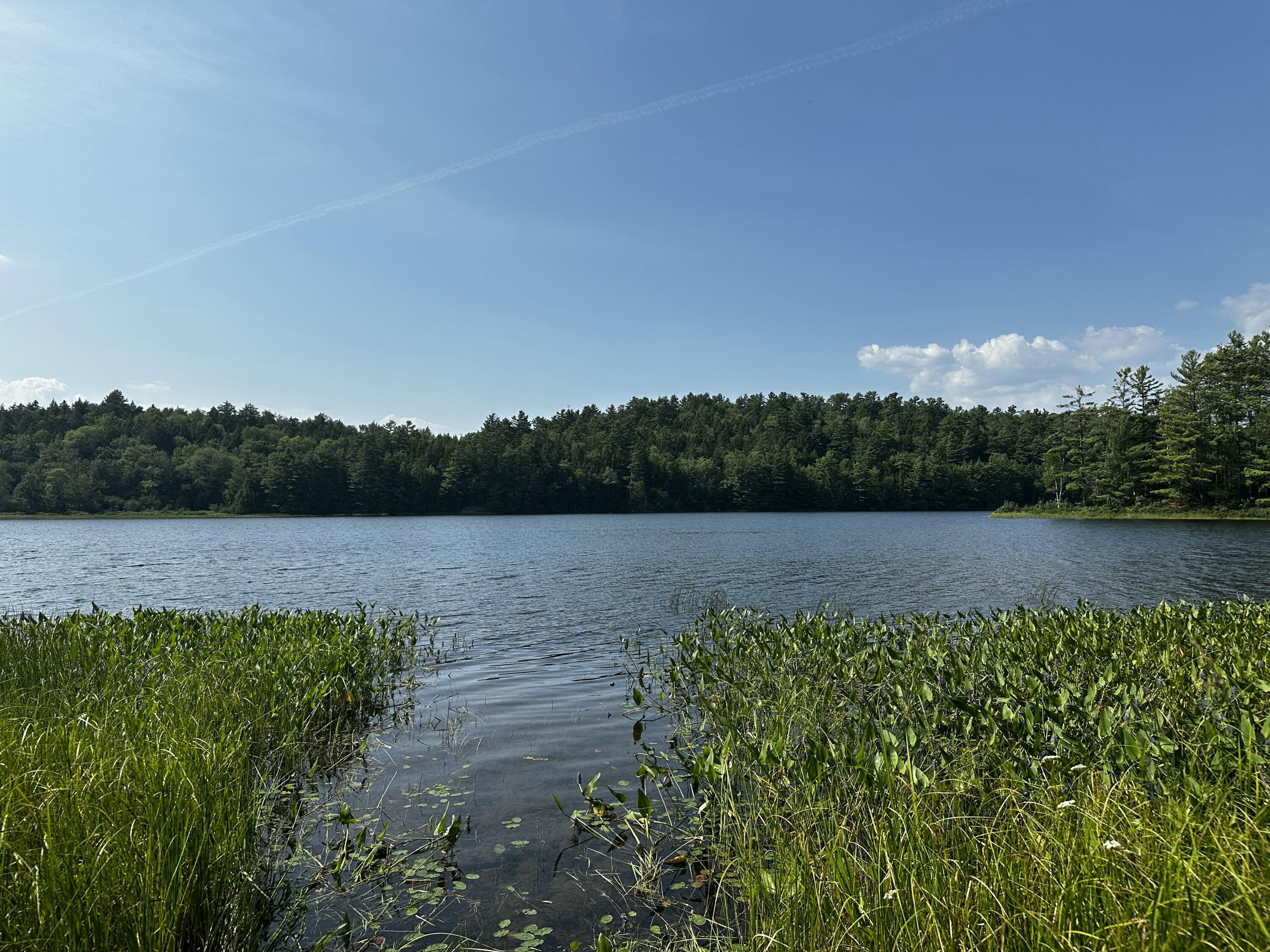 Lot 005 State Route 46 Route Bucksport, ME 04416 - Photo 3 of 21 IMG_7463