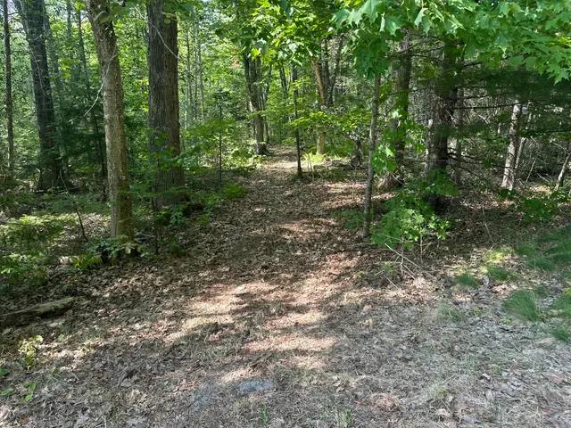 $144,000 | Lot 005 State Route 46 Route, Bucksport, ME 04416