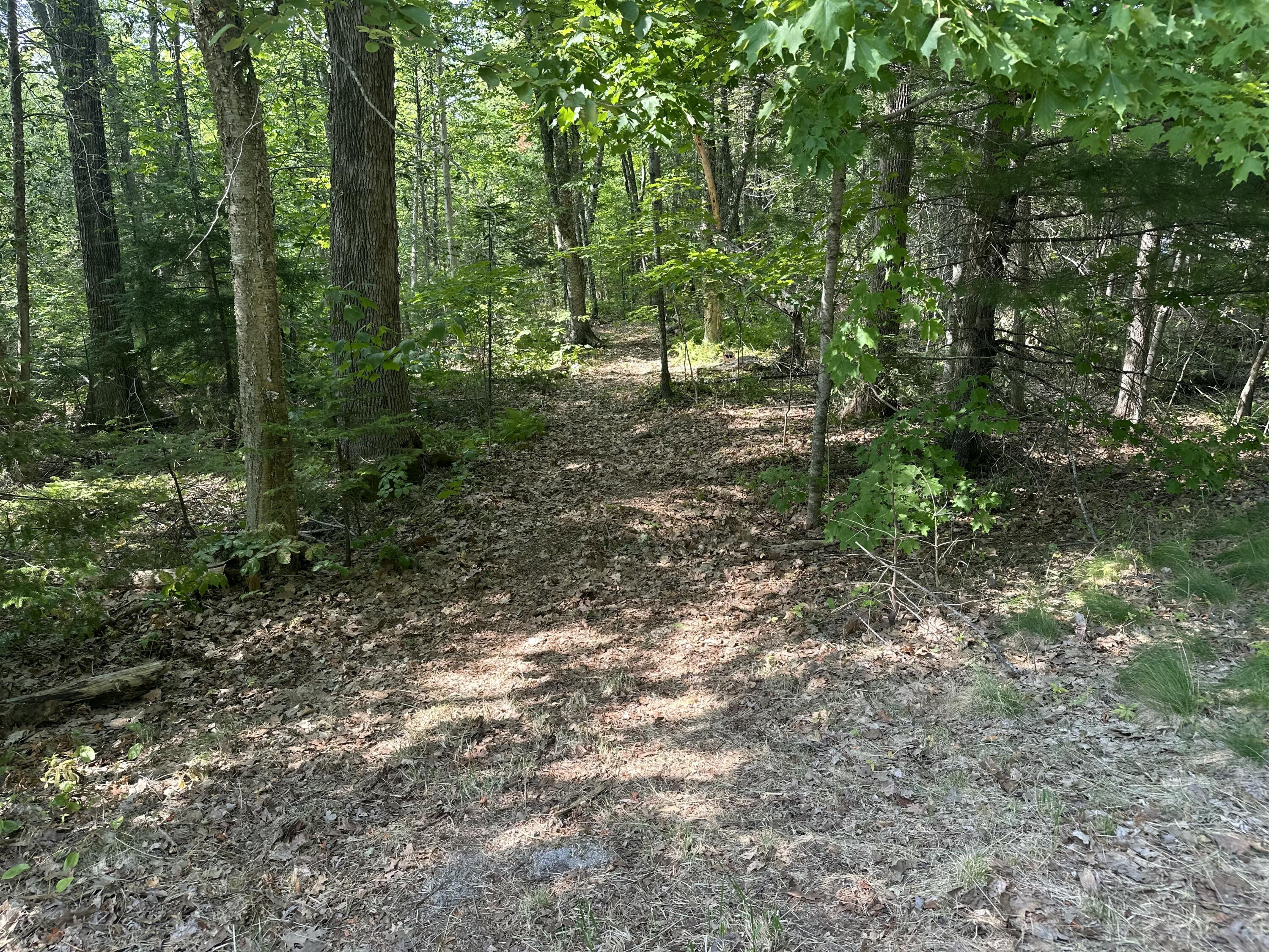 Lot 005 State Route 46 Route Bucksport, ME 04416 - Photo 6 of 21 IMG_7450