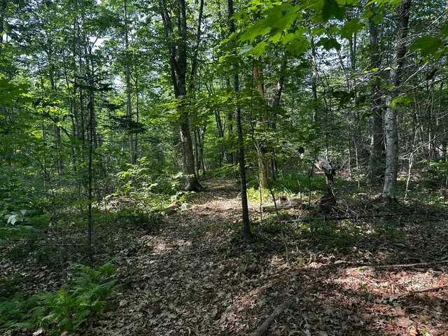 $144,000 | Lot 005 State Route 46 Route, Bucksport, ME 04416