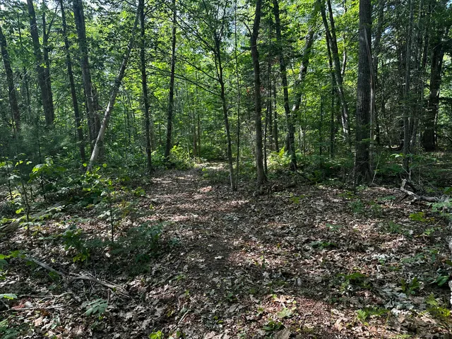 $144,000 | Lot 005 State Route 46 Route, Bucksport, ME 04416