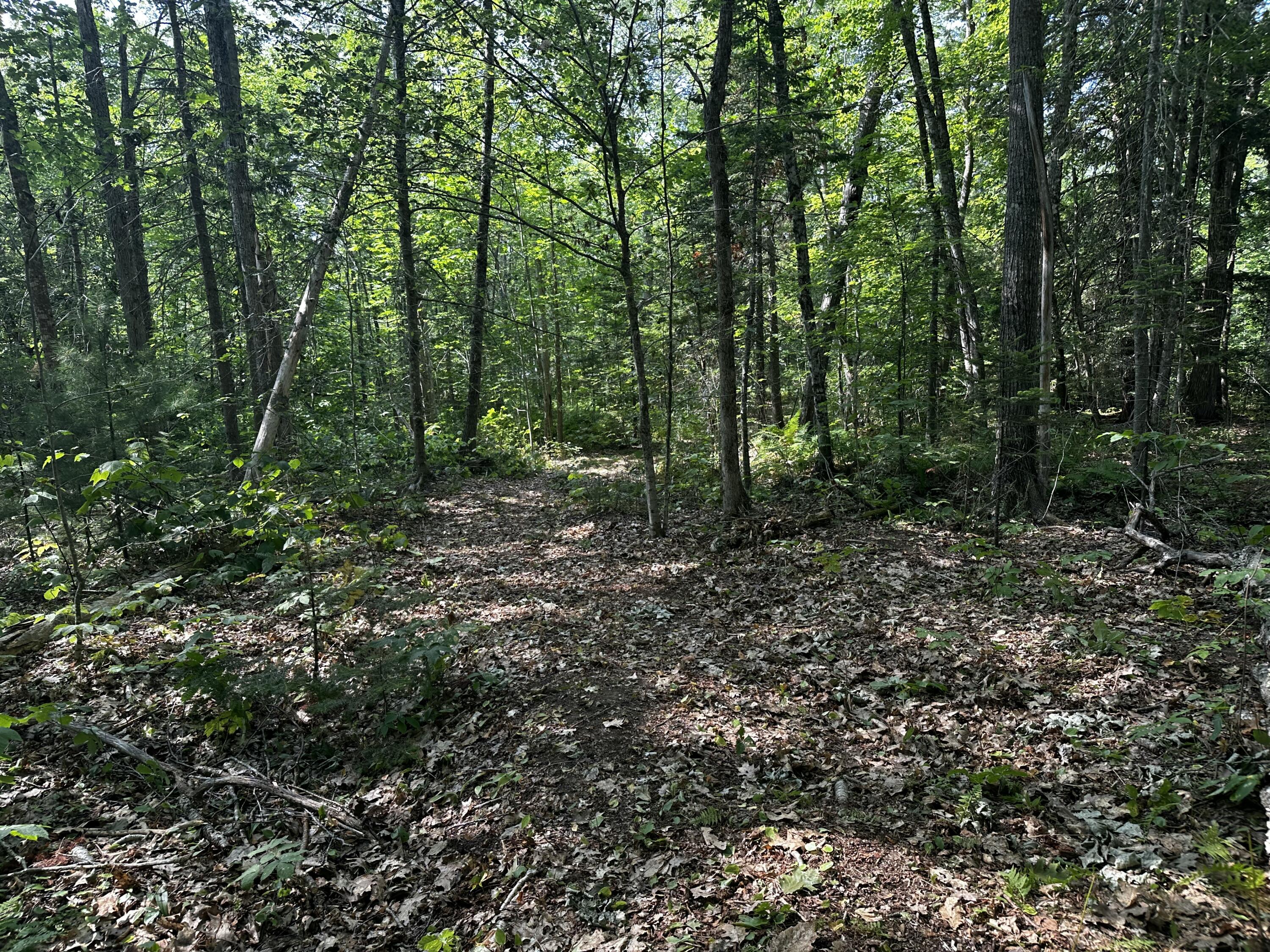 Lot 005 State Route 46 Route Bucksport, ME 04416 - Photo 8 of 21 IMG_7455