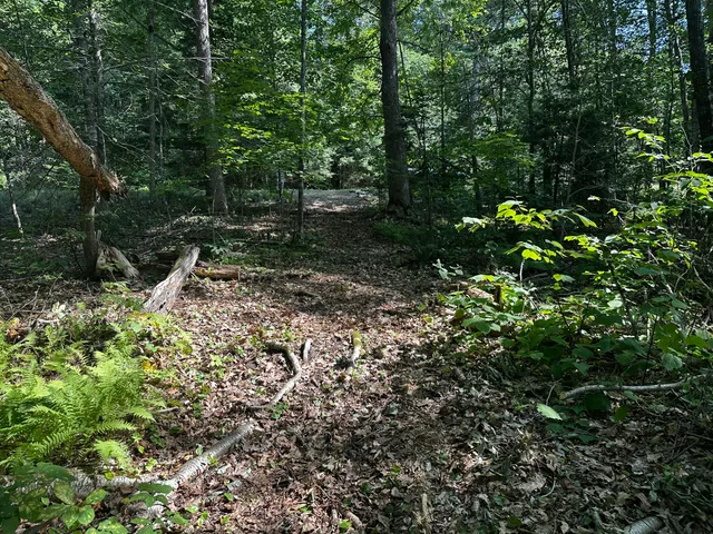 $144,000 | Lot 005 State Route 46 Route, Bucksport, ME 04416
