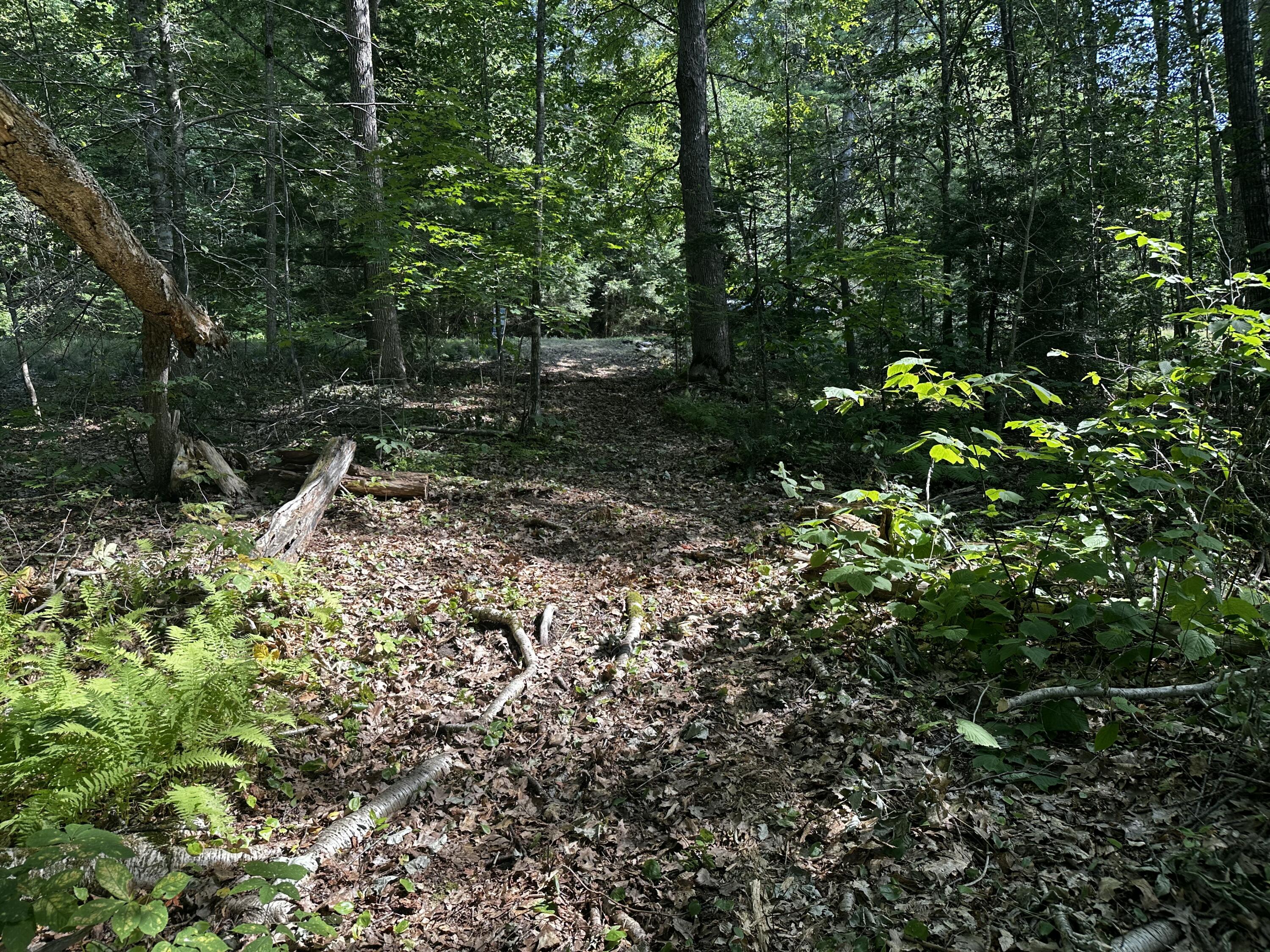 Lot 005 State Route 46 Route Bucksport, ME 04416 - Photo 9 of 21 IMG_7456