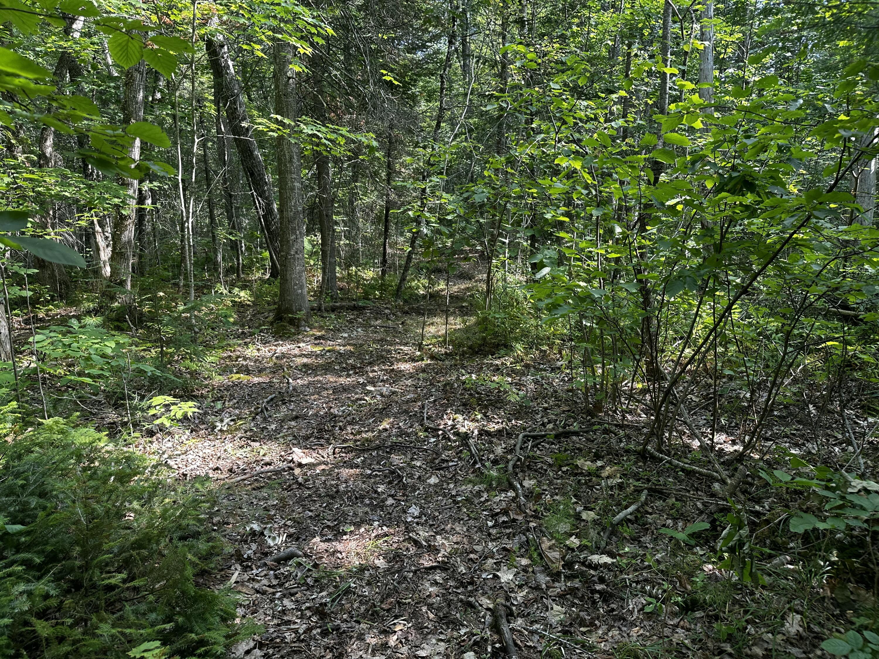 Lot 005 State Route 46 Route Bucksport, ME 04416 - Photo 10 of 21 IMG_7461