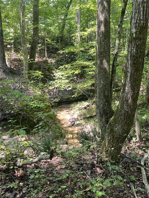 7024 Denison Road Summerfield, NC 27358 - Photo 43 of 43 A few minutes walk into the Vineyards trails, you'll come across a charming stream in a mountain-like setting!