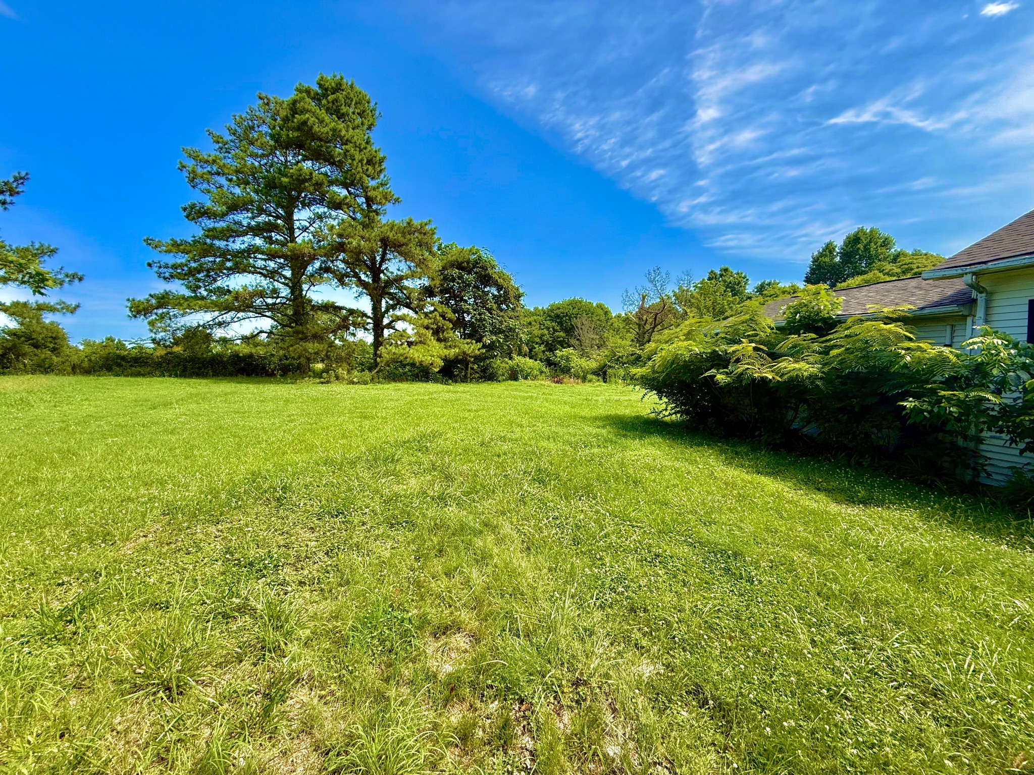 560 State Line Road Loretto, TN 38469 - Photo 18 of 22