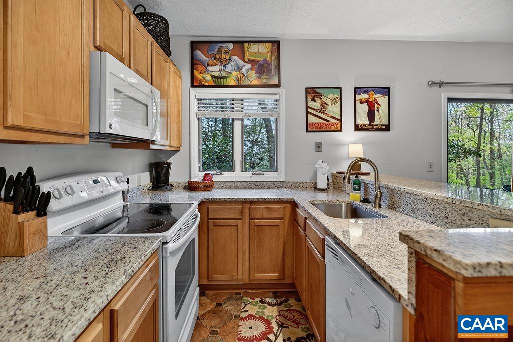 410 Three Ridges Roseland, VA 22967 - Photo 19 of 21 a kitchen with stainless steel appliances granite countertop a sink stove and cabinets