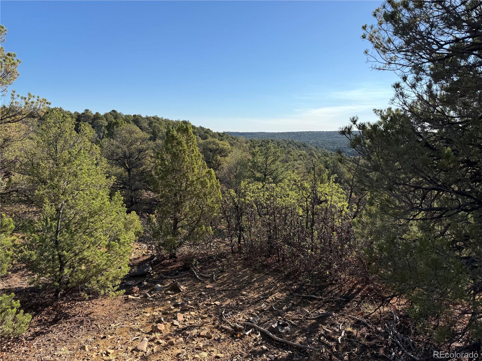 Lot 141 River Ridge Ranch Walsenburg, CO 81089 - Photo 11 of 28 Gallery Image 11