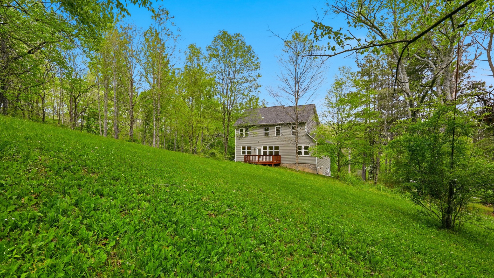 2005 Beaver Ridge Road White Bluff, TN 37187 - Photo 41 of 46 a view of a back yard