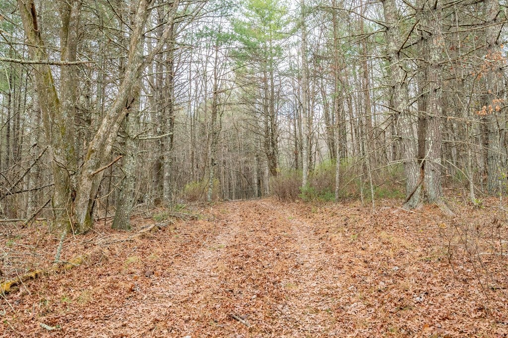 0 Marian Road Dugspur, VA 24325 - Photo 25 of 31 Gallery Image 25