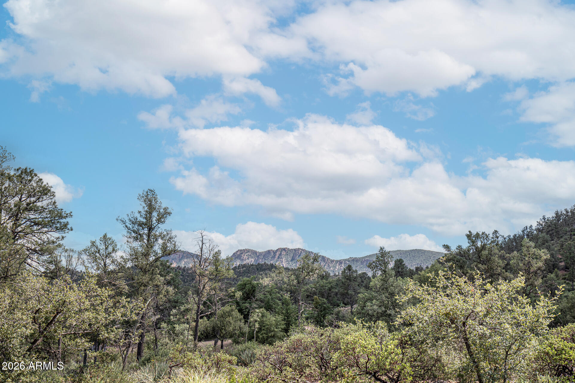2302 East Rim Club Drive Payson, AZ 85541 - Photo 71 of 72 150