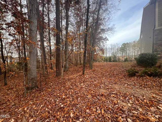 a backyard of a house with lots of green space