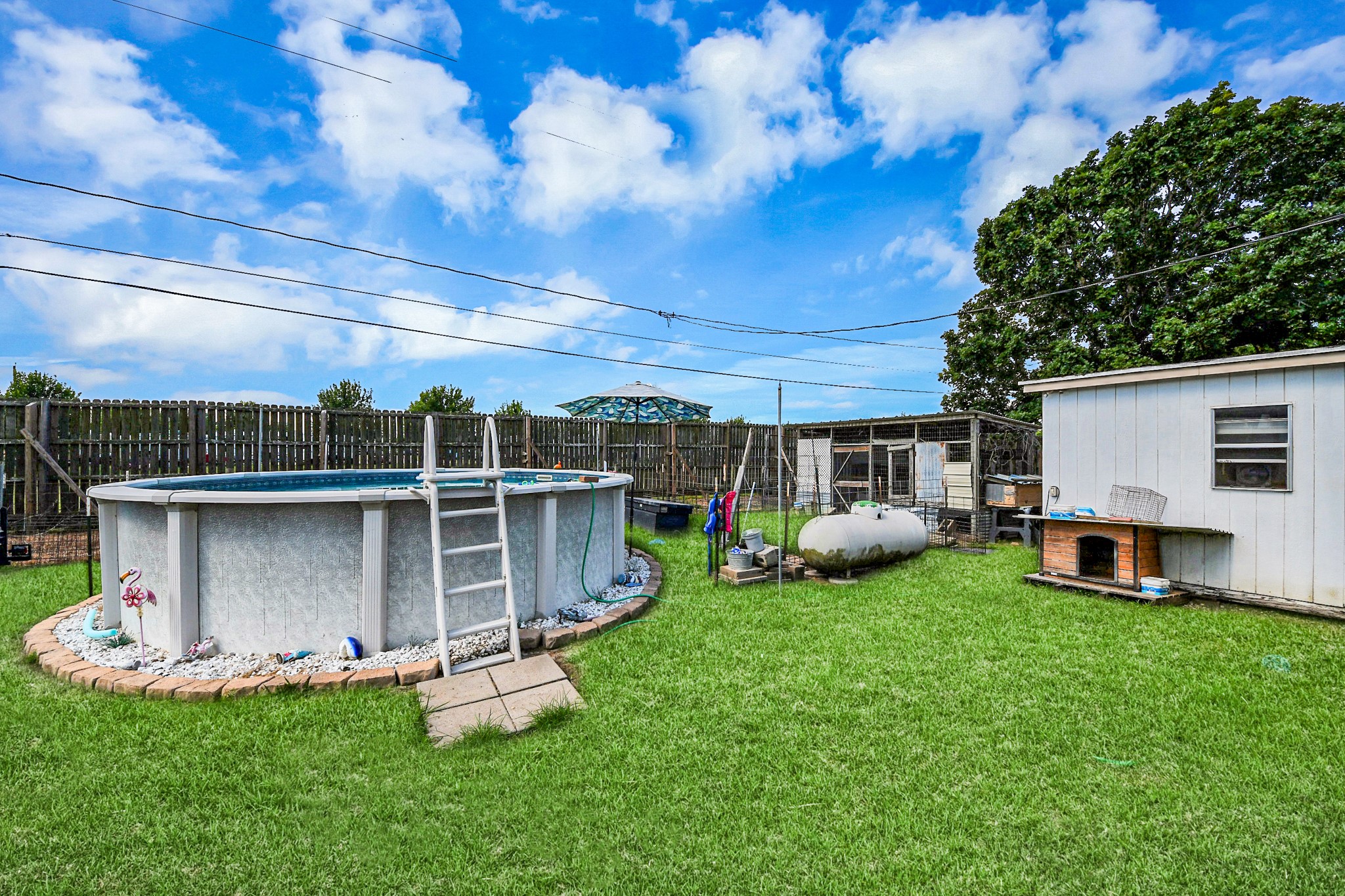131 Kiowa Court Rosharon, TX 77583 - Photo 37 of 42 This backyard features a large above-ground pool with a ladder, a grassy lawn, and a fenced perimeter. There's a utility shed and some outdoor equipment, a chicken coop, offering a spacious area for relaxation or activities.