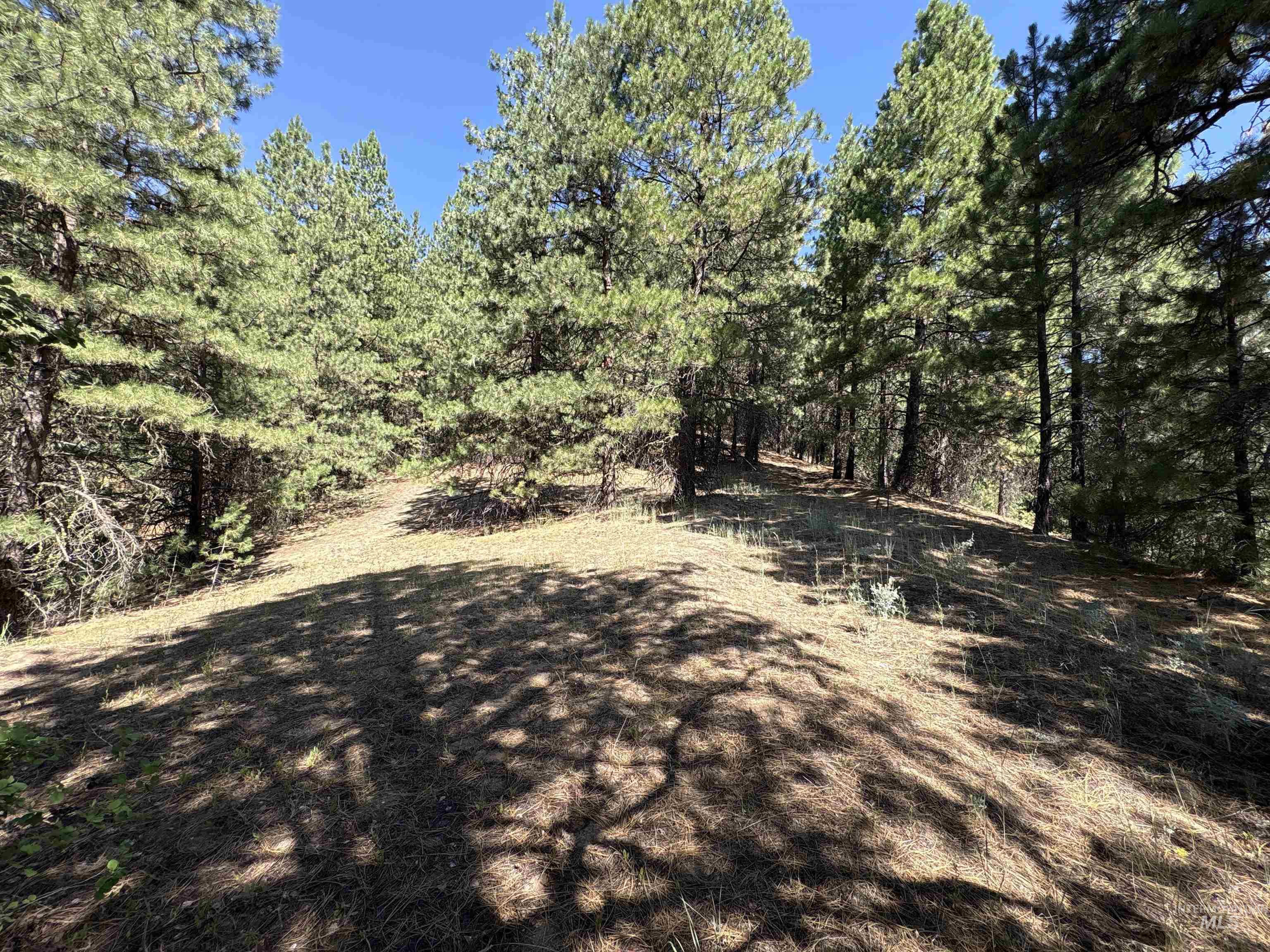 Tbd Smith Creek Road Mountain Home, ID 83647 - Photo 2 of 19