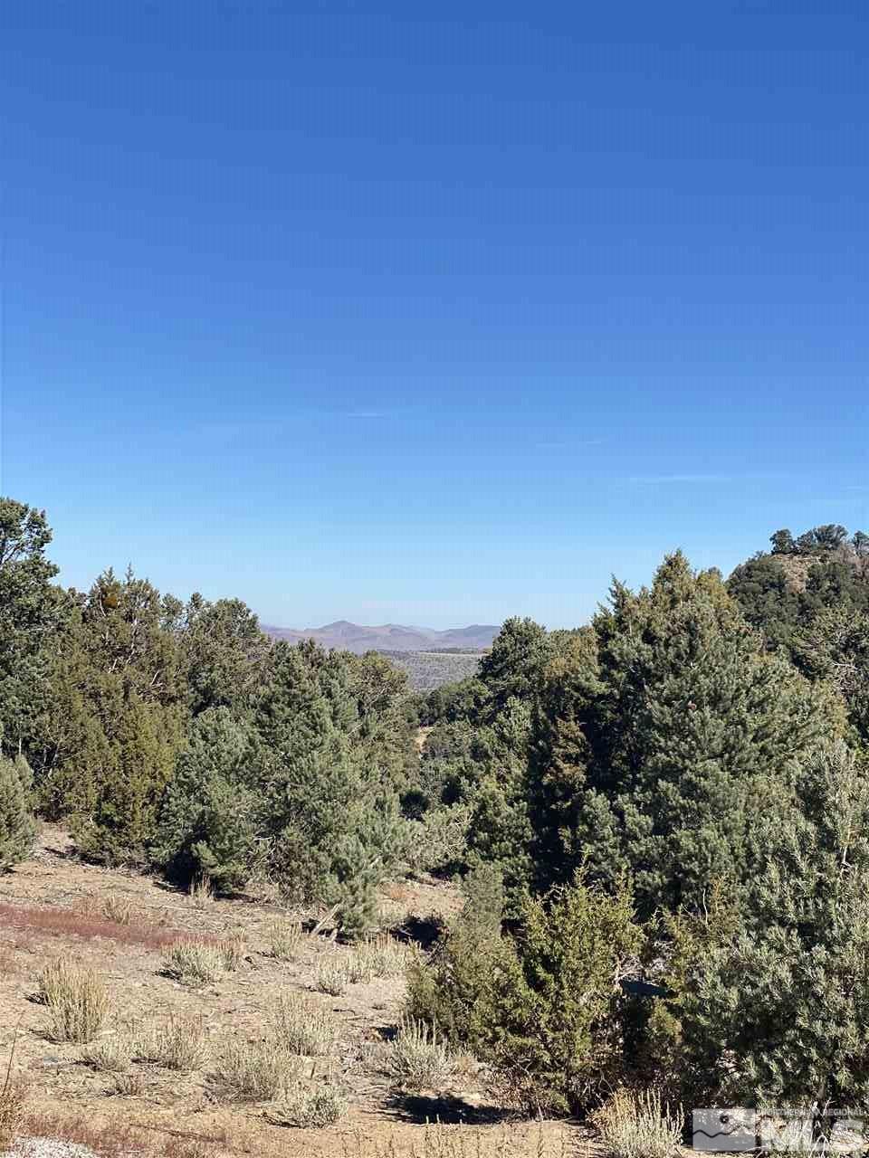 1351 Bonanza Road Reno, NV 89521 - Photo 1 of 8 Photo 1
