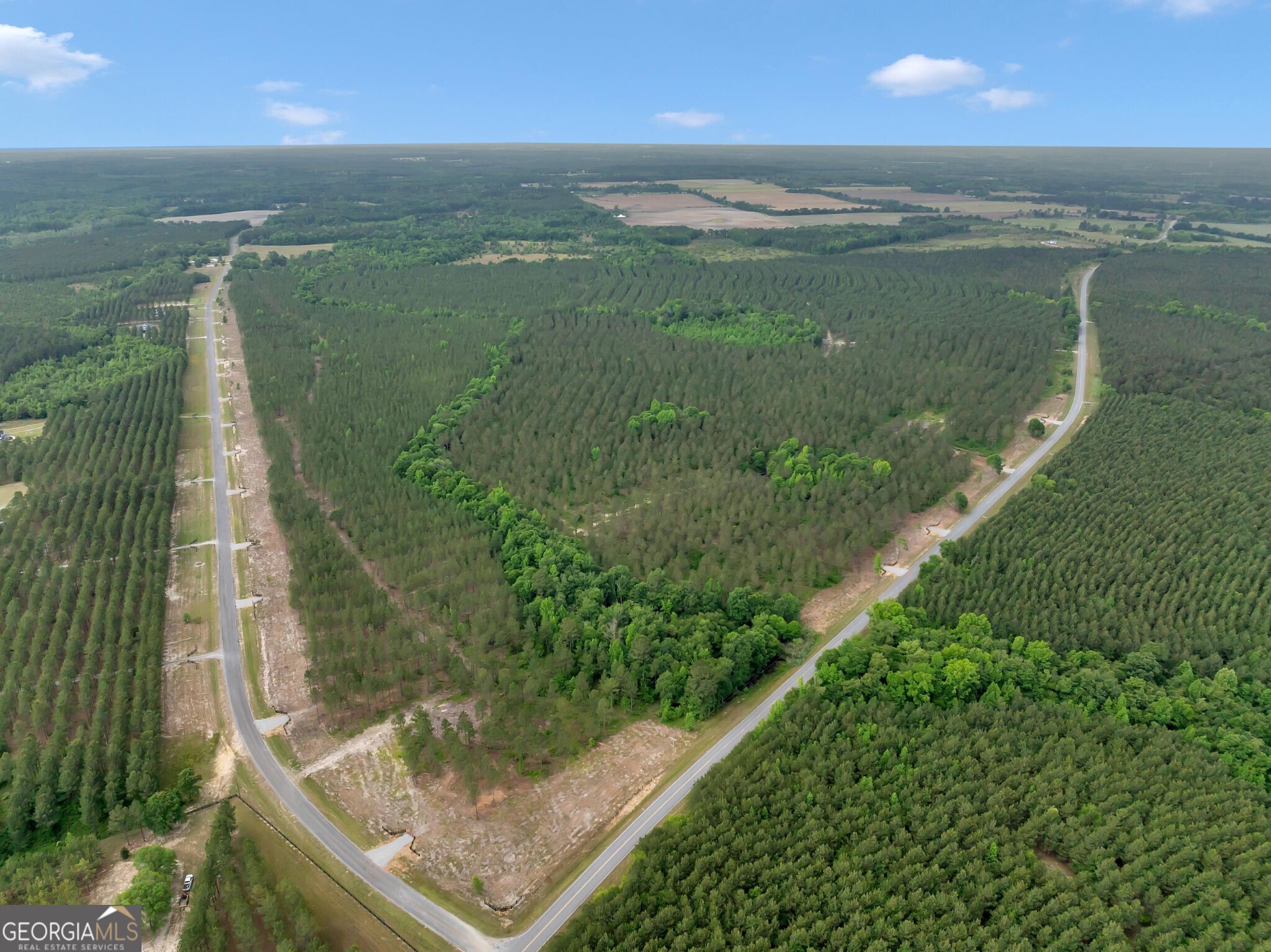 0 Dewey Thomas Road, Unit LOT 3 Dexter, GA 31019 - Photo 2 of 14 a view of a lake from a balcony