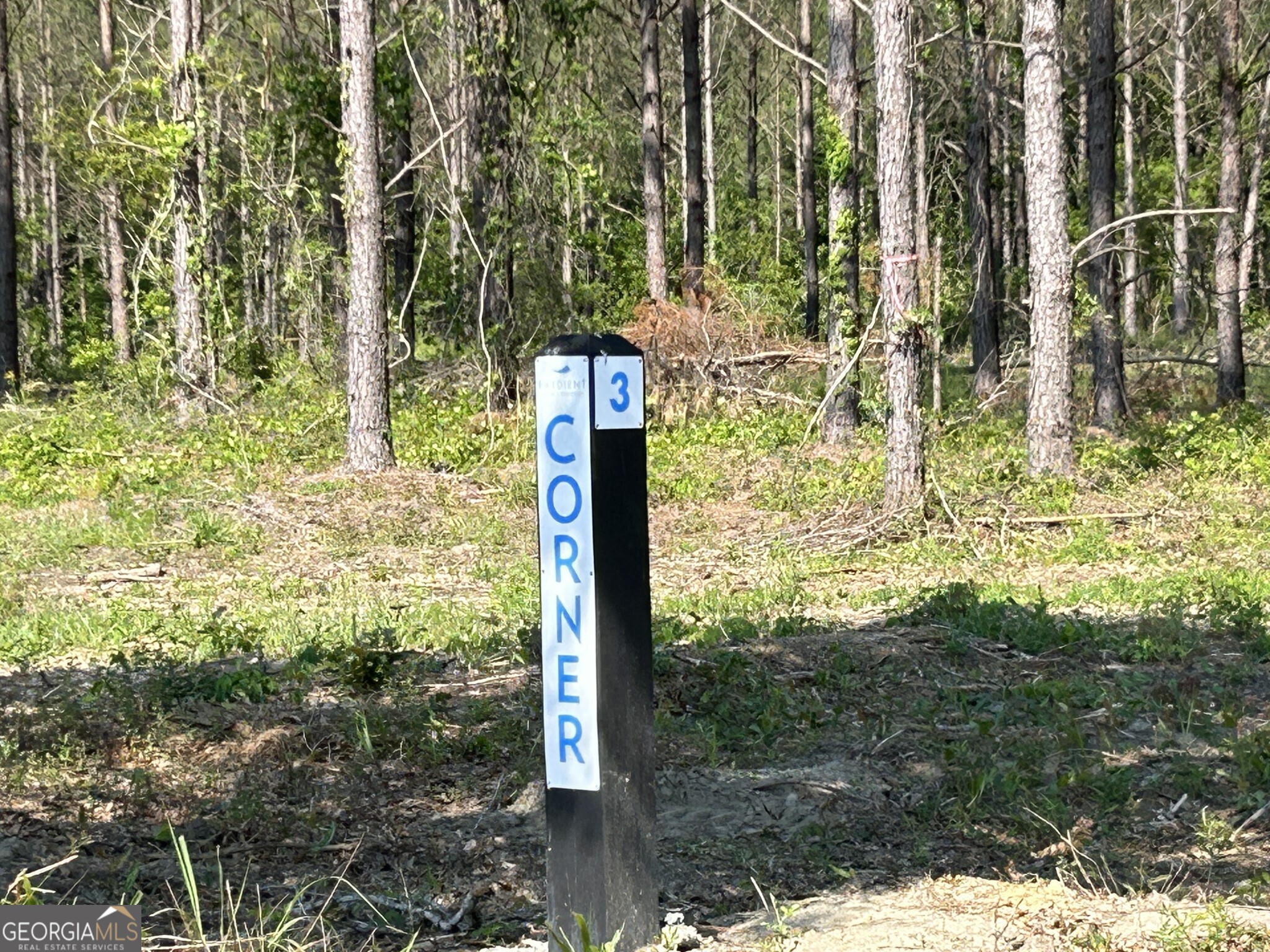 0 Dewey Thomas Road, Unit LOT 3 Dexter, GA 31019 - Photo 8 of 14 a sign that is on the side of a road