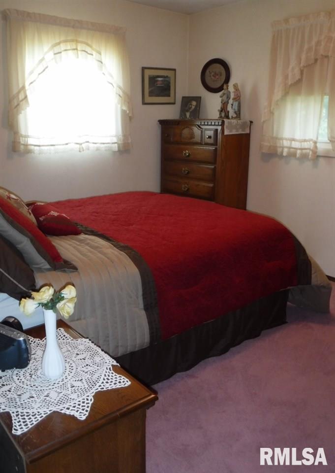 426 Cedar Street Andover, IL 61233 - Photo 15 of 23 Gallery Image 15