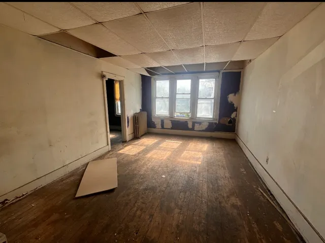 a plant that is in front of a house