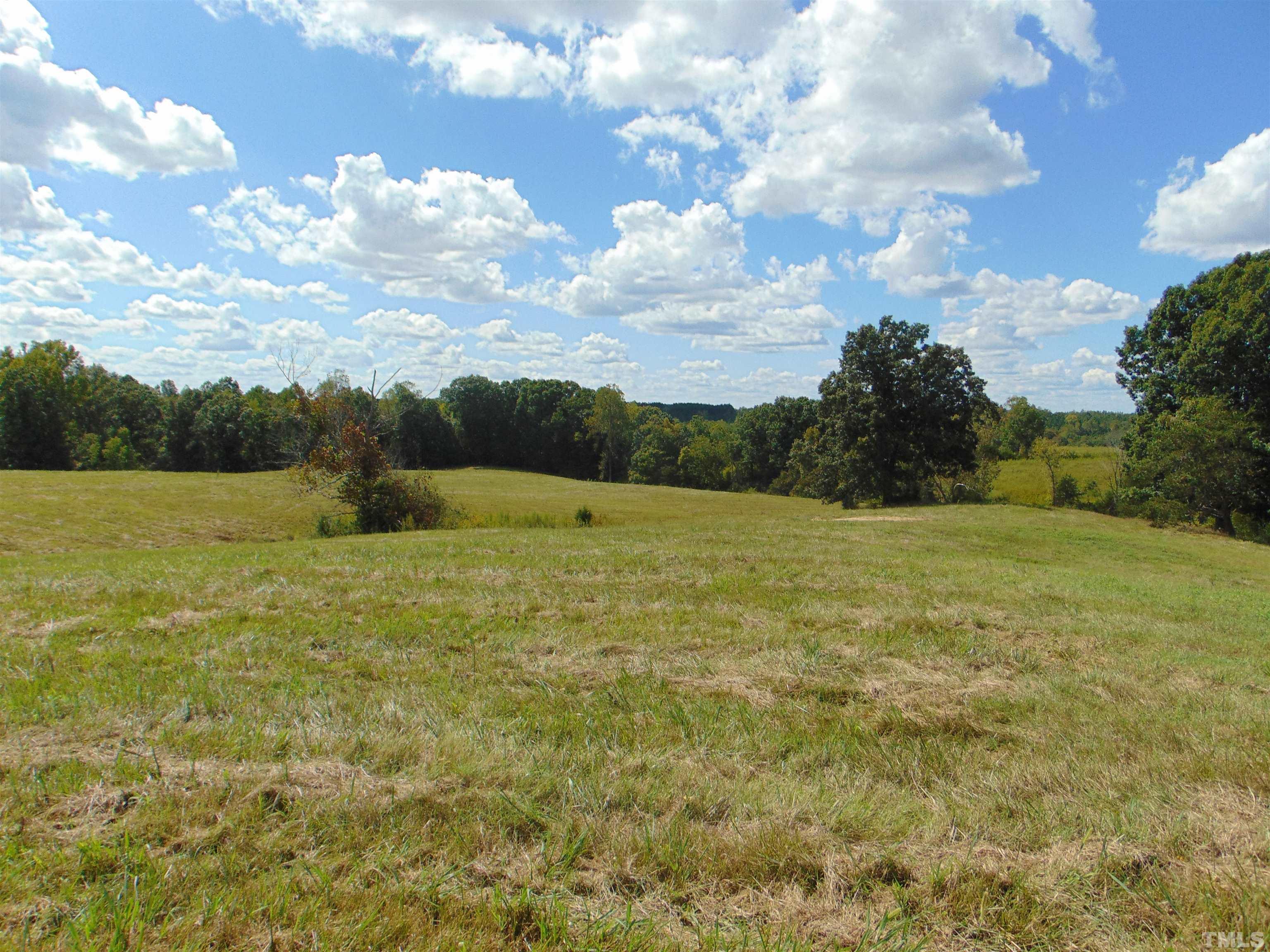 Corbett Ridge Road Mebane, NC 27302 - Photo 13 of 21