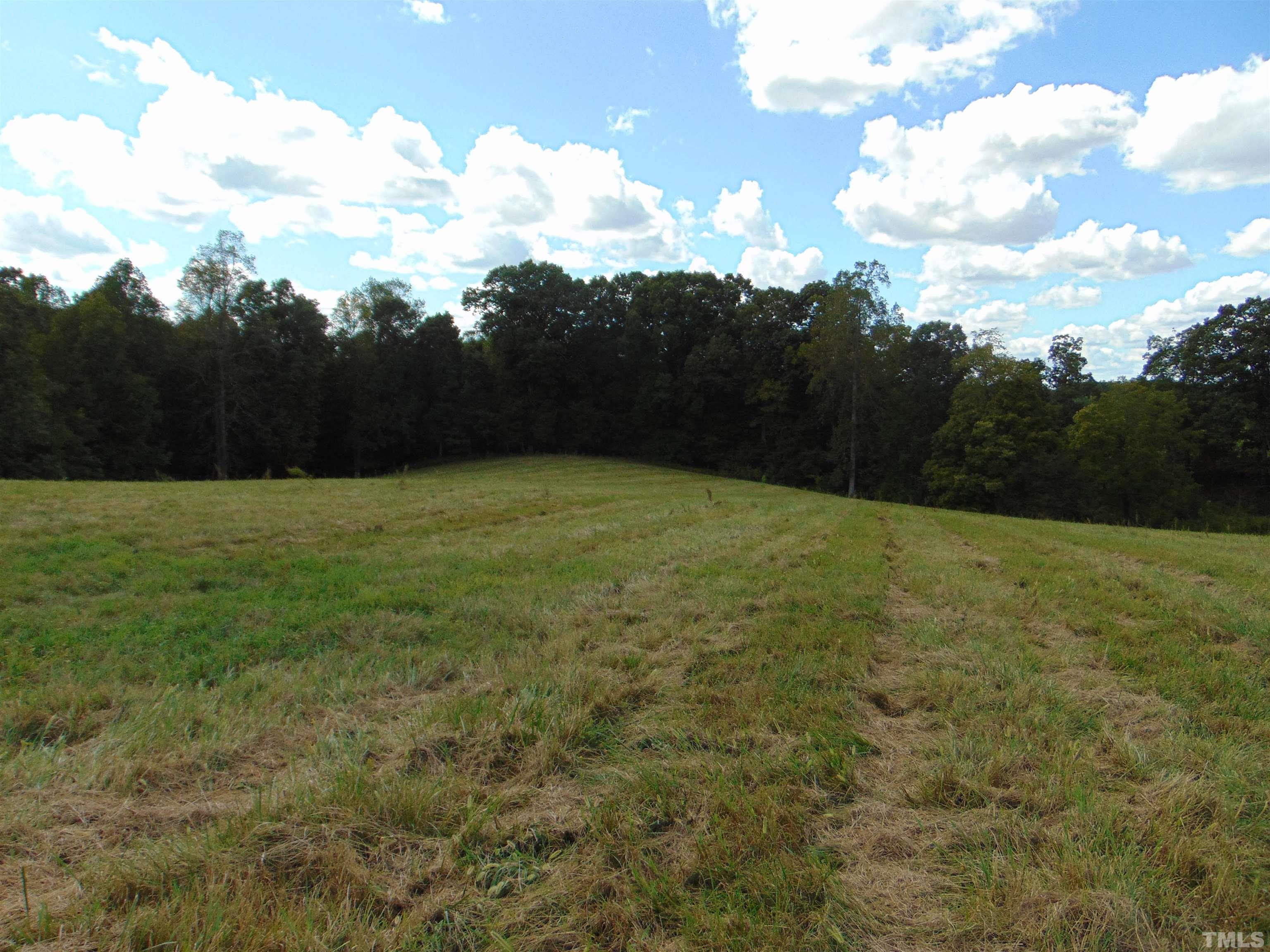 Corbett Ridge Road Mebane, NC 27302 - Photo 18 of 21