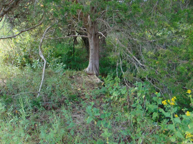 $190,000 | Corbett Ridge Road, Mebane, NC 27302