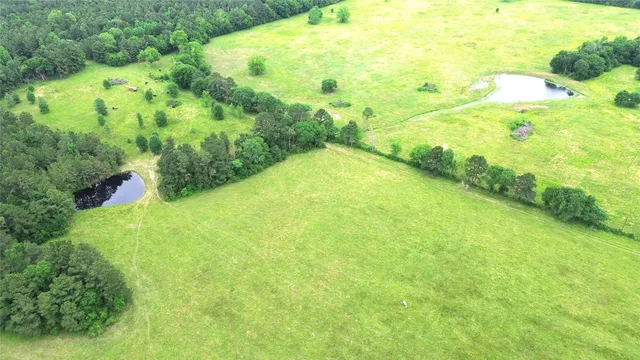 $999,950 | 0 Fm 2781, Pennington, TX 75856