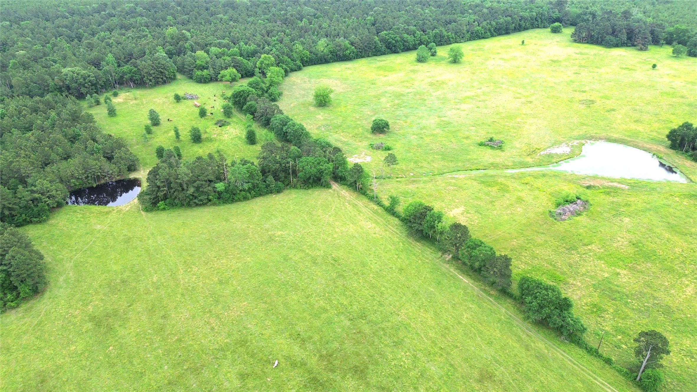 0 Fm 2781 Pennington, TX 75856 - Photo 13 of 18