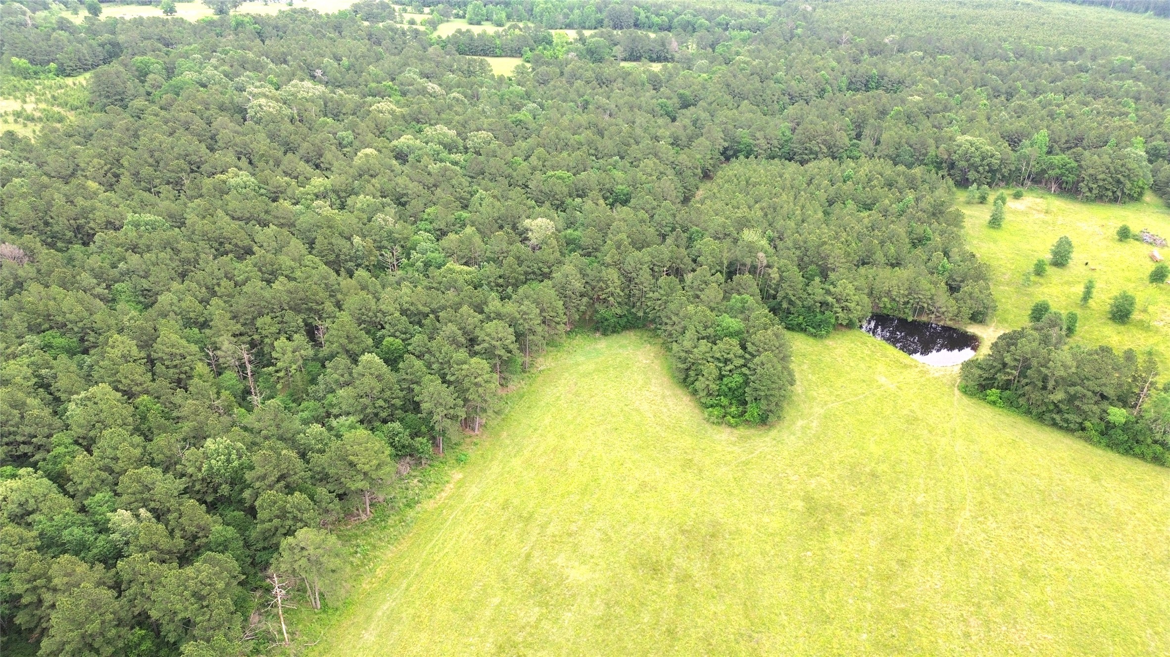 0 Fm 2781 Pennington, TX 75856 - Photo 14 of 18