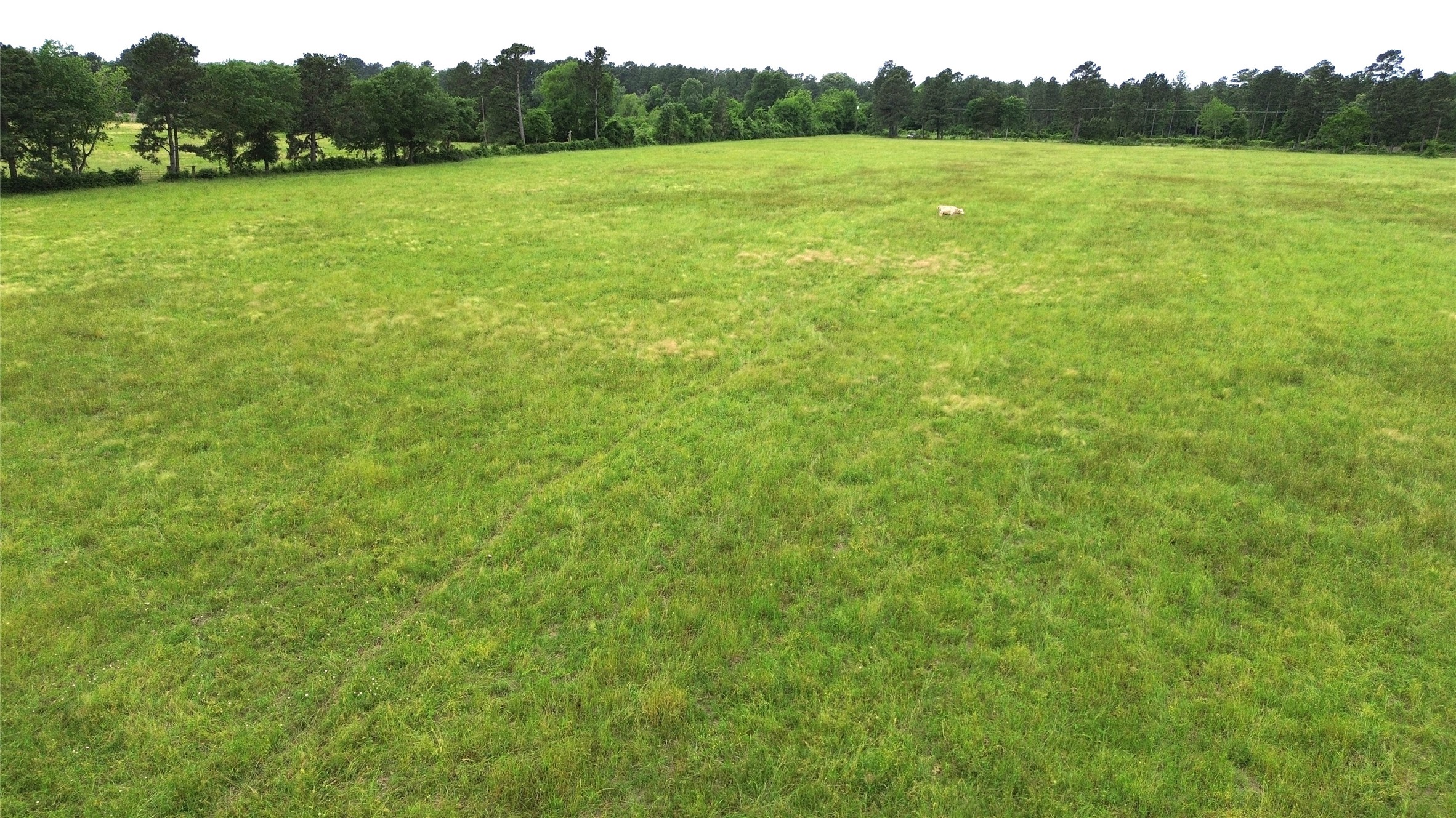 0 Fm 2781 Pennington, TX 75856 - Photo 16 of 18