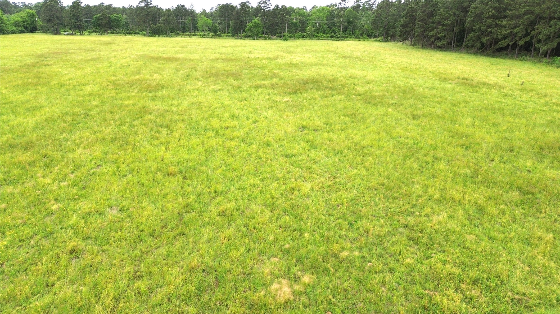 0 Fm 2781 Pennington, TX 75856 - Photo 17 of 18