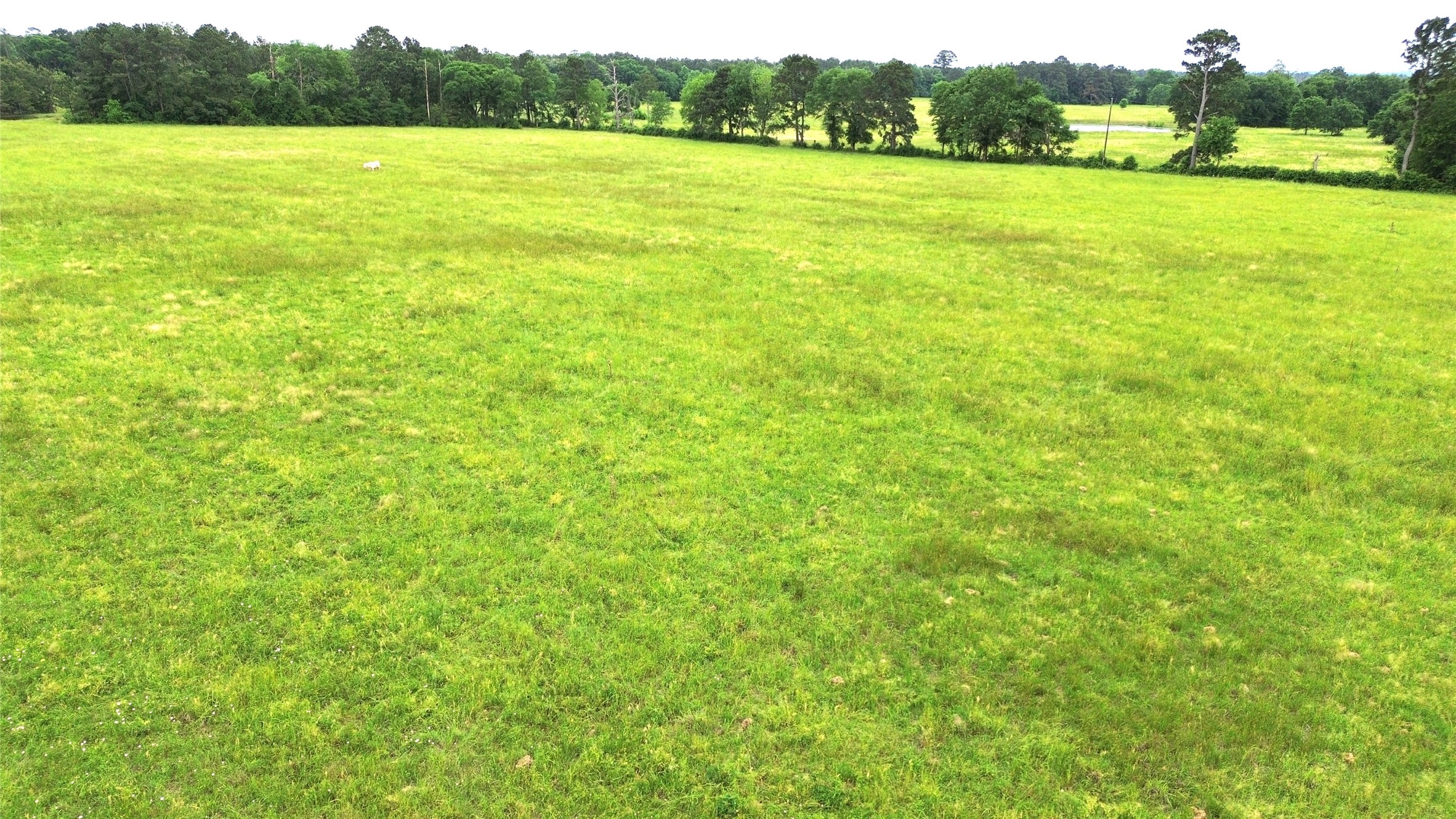 0 Fm 2781 Pennington, TX 75856 - Photo 18 of 18