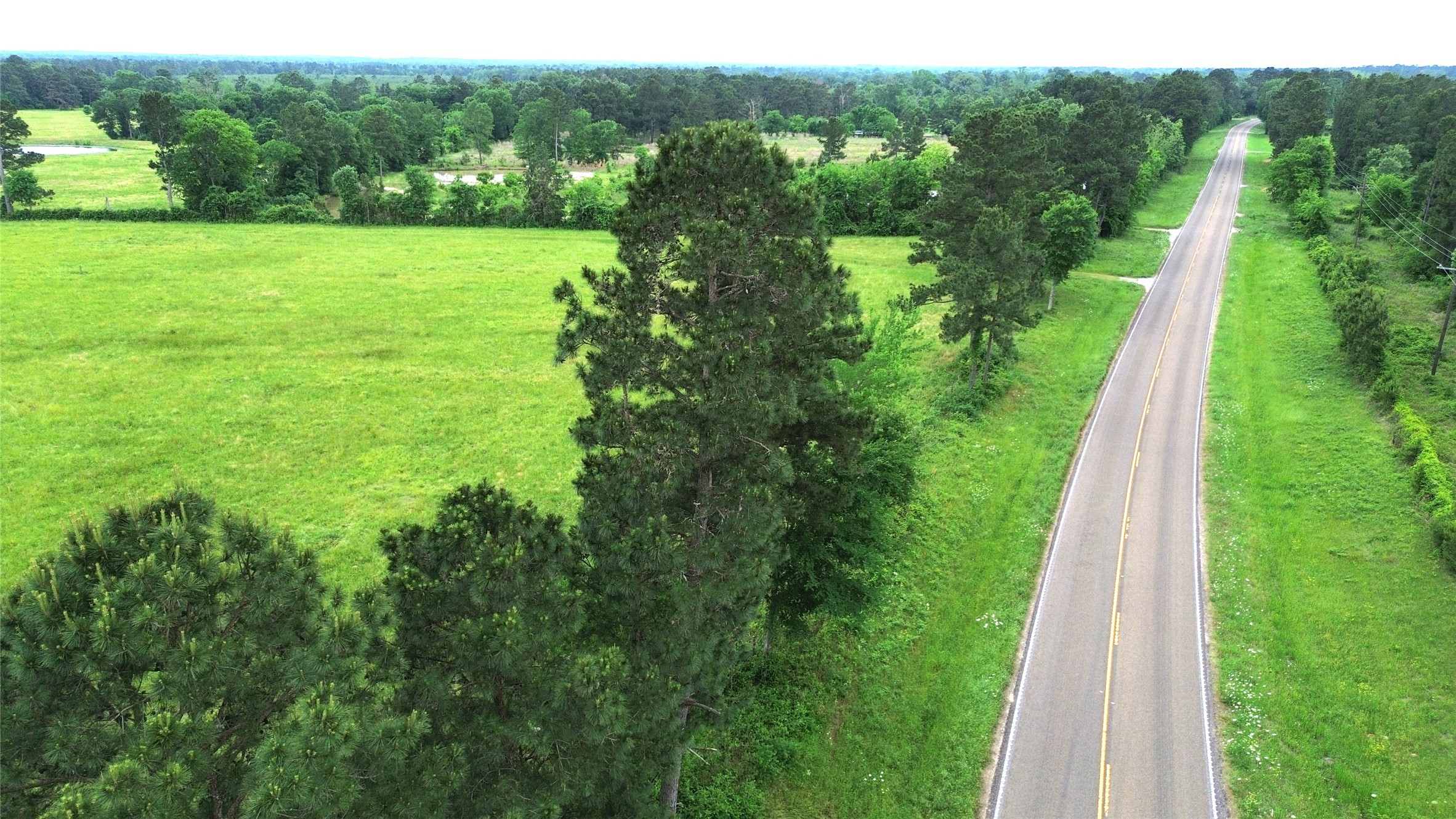 0 Fm 2781 Pennington, TX 75856 - Photo 3 of 18