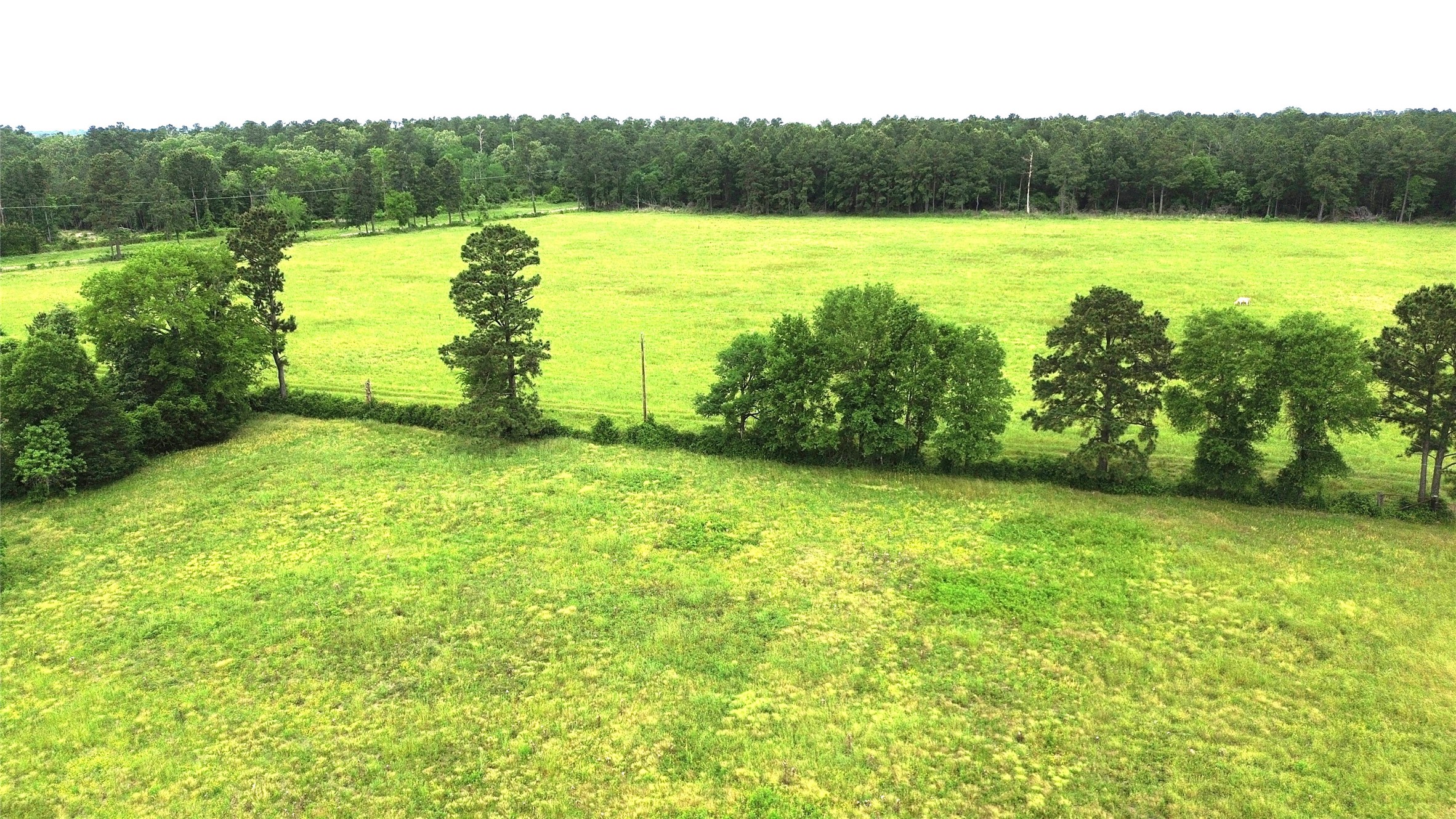 0 Fm 2781 Pennington, TX 75856 - Photo 6 of 18