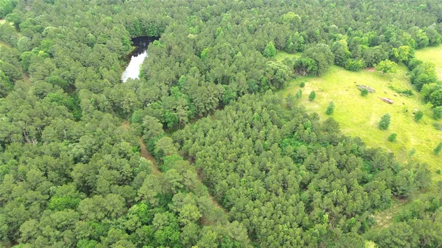 $999,950 | 0 Fm 2781, Pennington, TX 75856