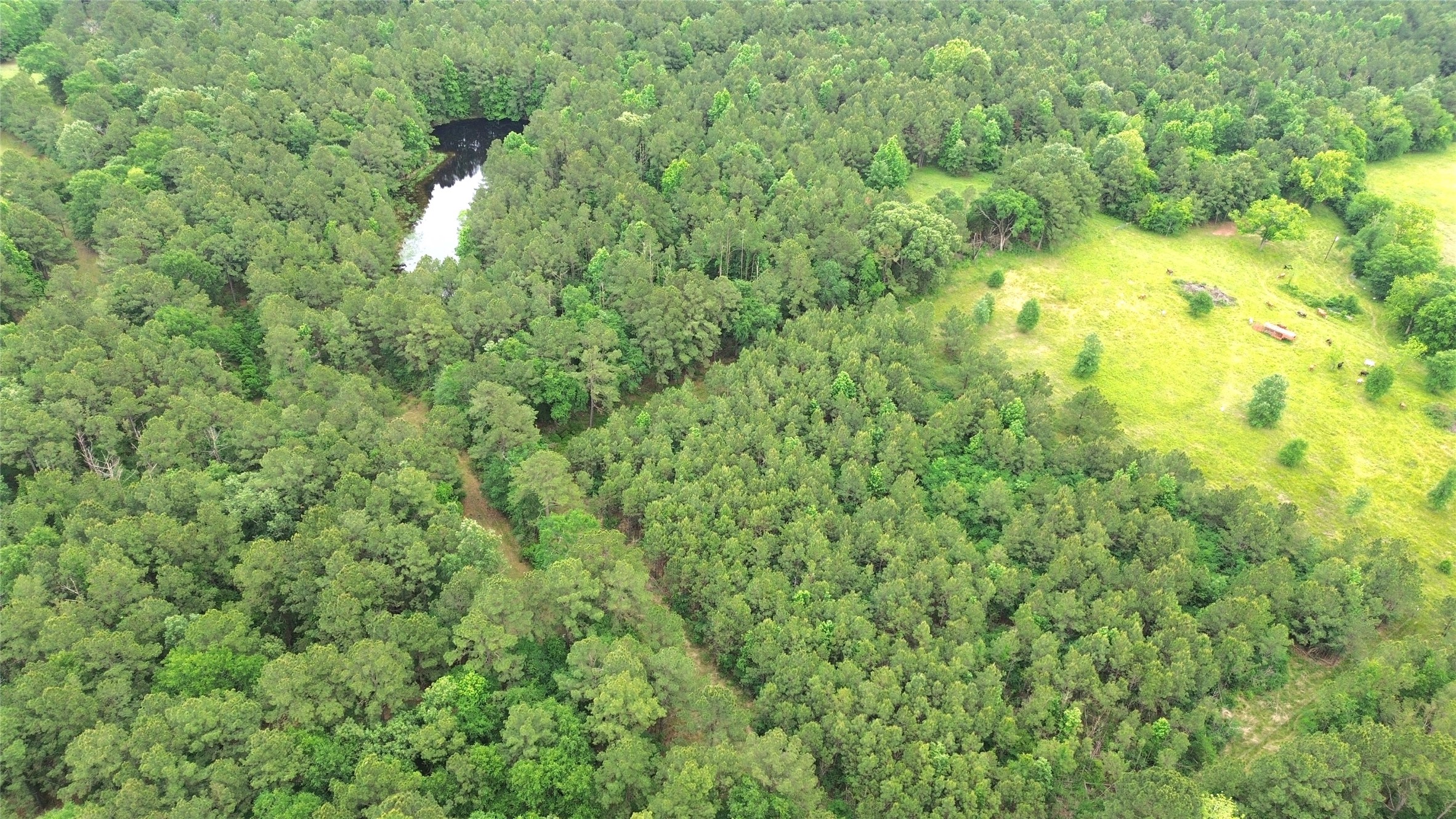 0 Fm 2781 Pennington, TX 75856 - Photo 9 of 18