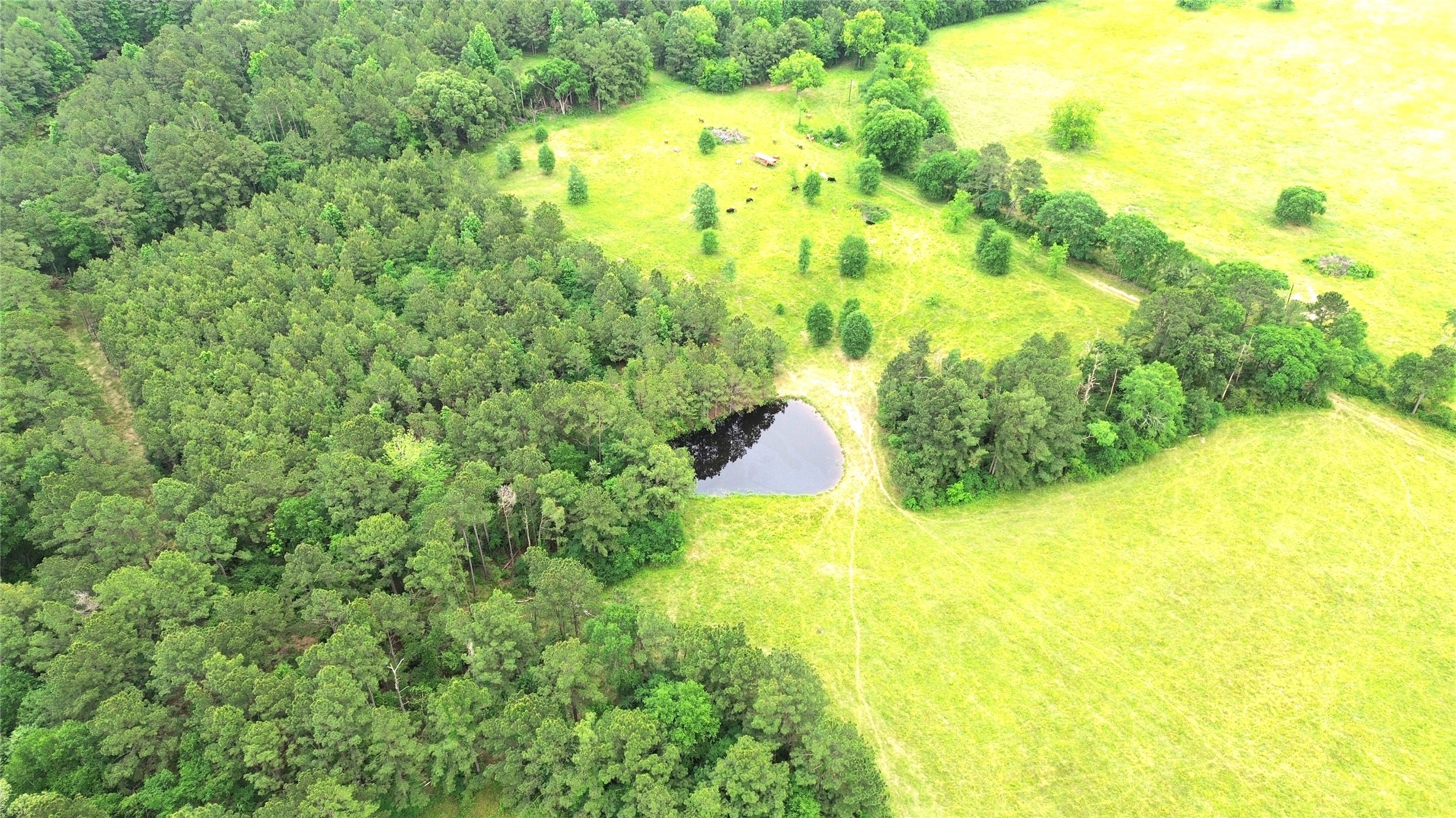 0 Fm 2781 Pennington, TX 75856 - Photo 10 of 18